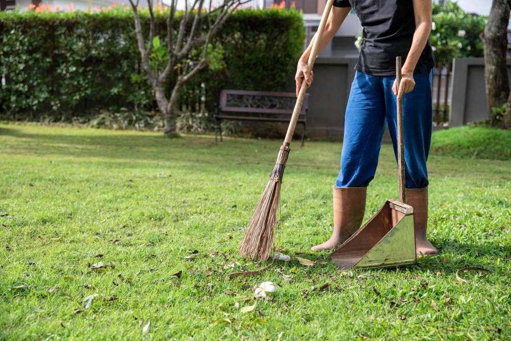 garden cleaning