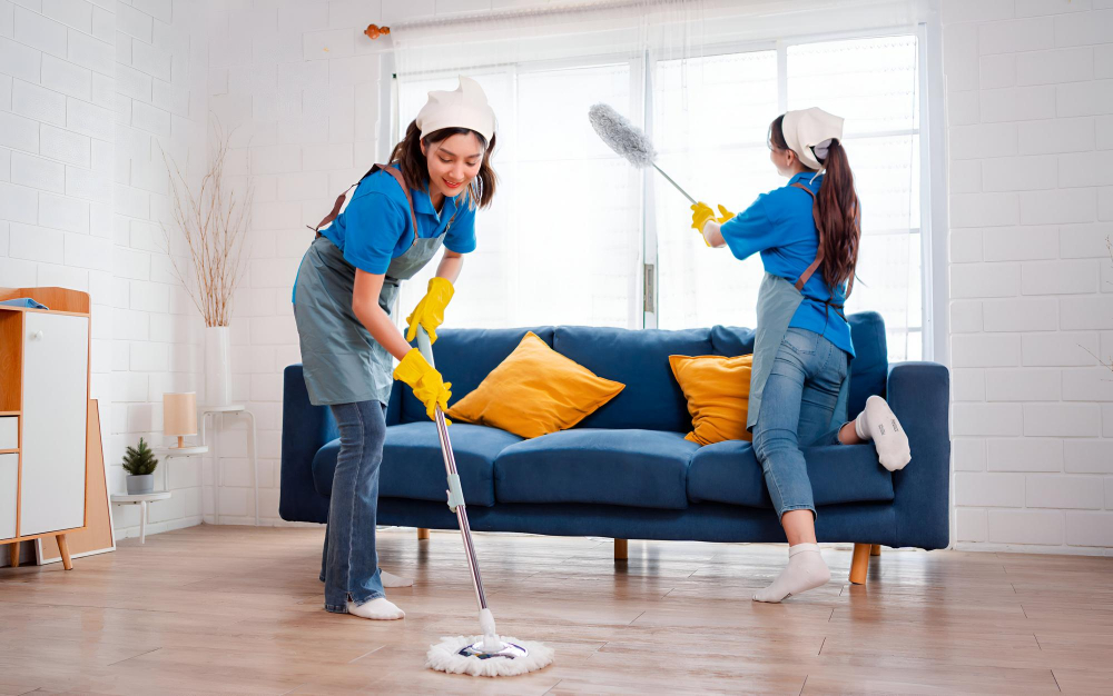 Professional Cleaning Services in Kenilworth