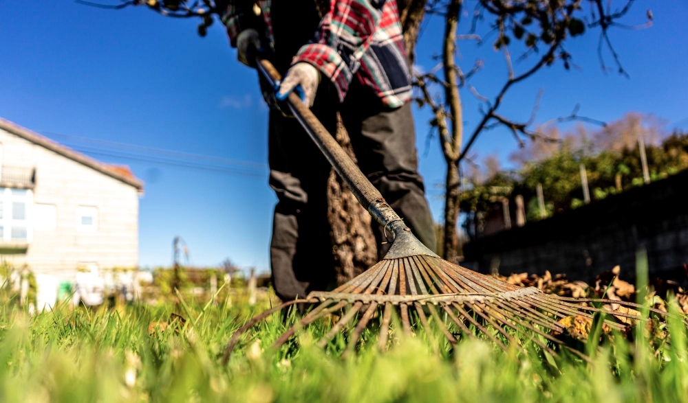 garden cleaning