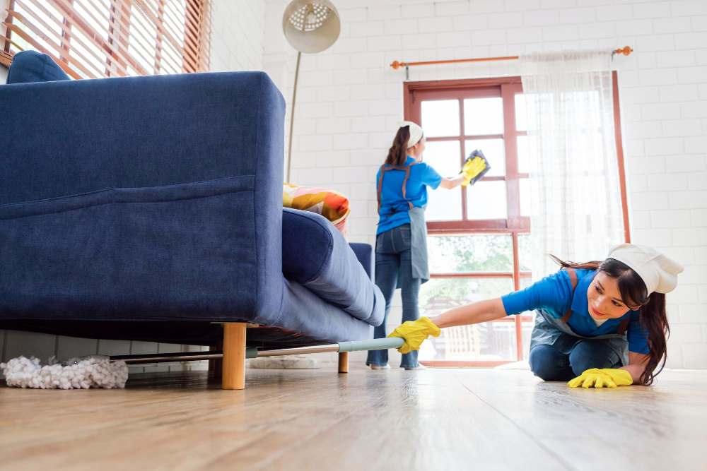 Cleaning Services in Kenilworth